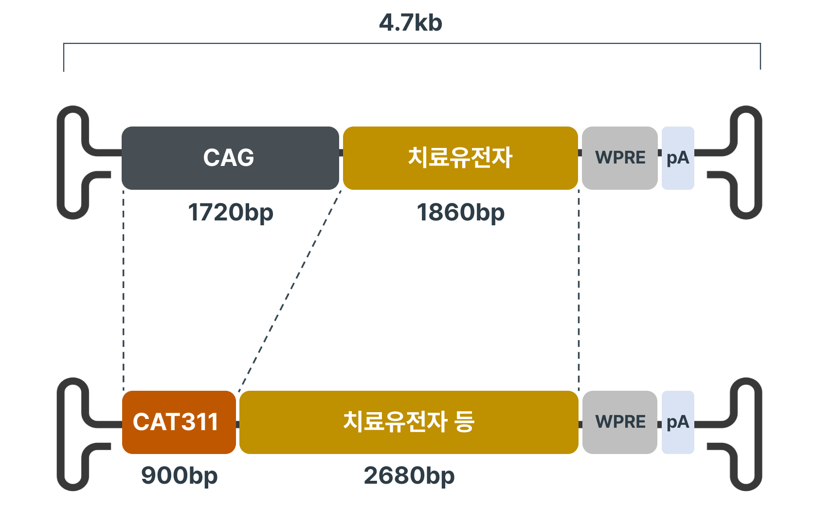 플랫폼 기술 도해 자리