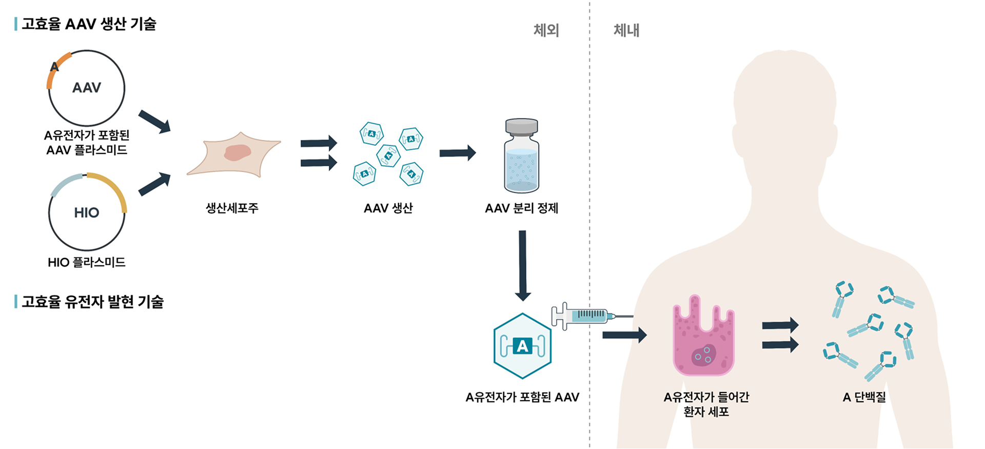 도해 이미지 자리