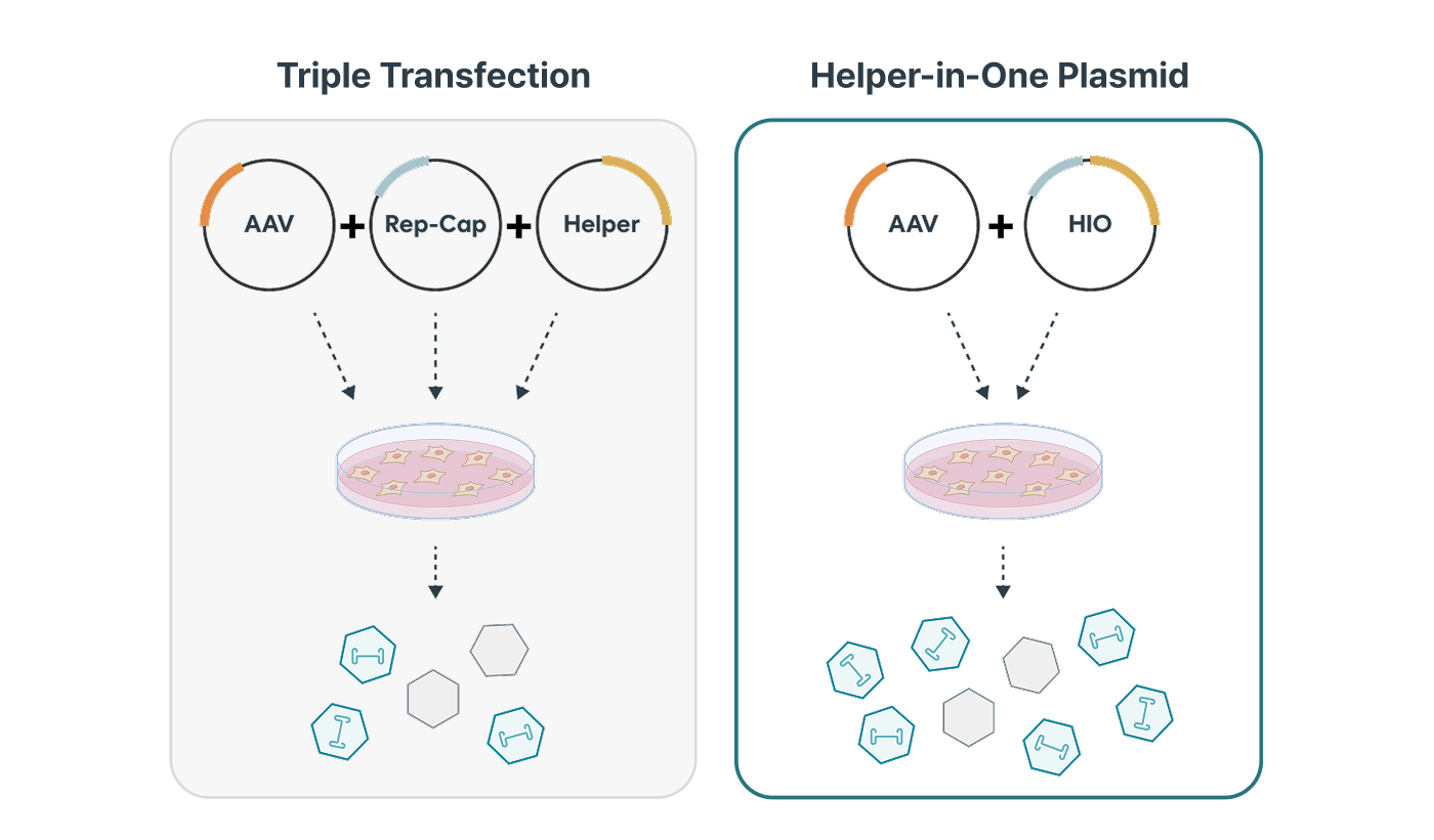 Platform technology illustration placeholder