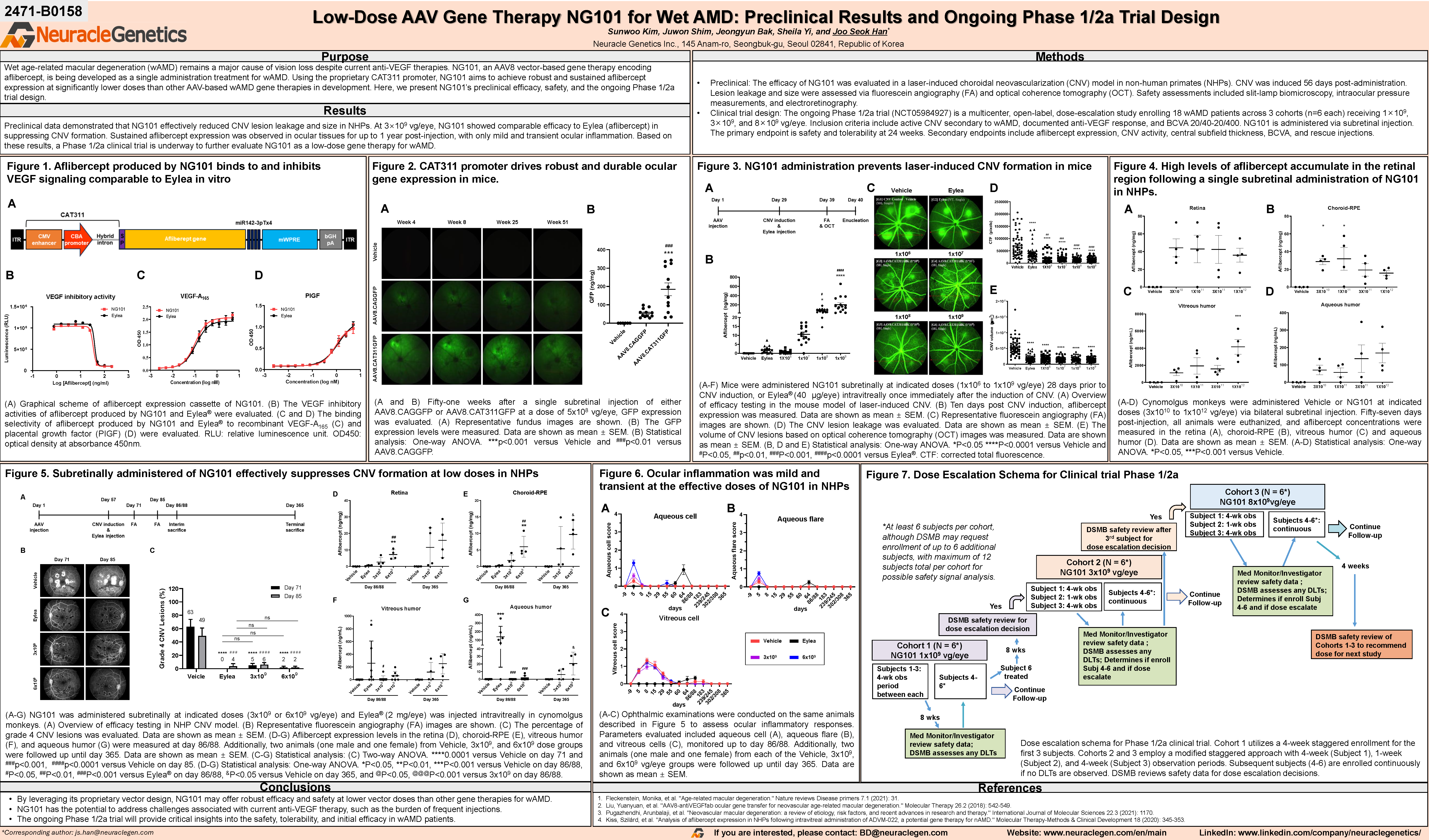 [Poster - ARVO 2025] Low-Dose AAV Gene Therapy NG101 for Wet AMD: Preclinical Results and Ongoing Phase 1/2a Trial Design